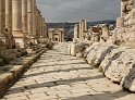 Jerash (21)